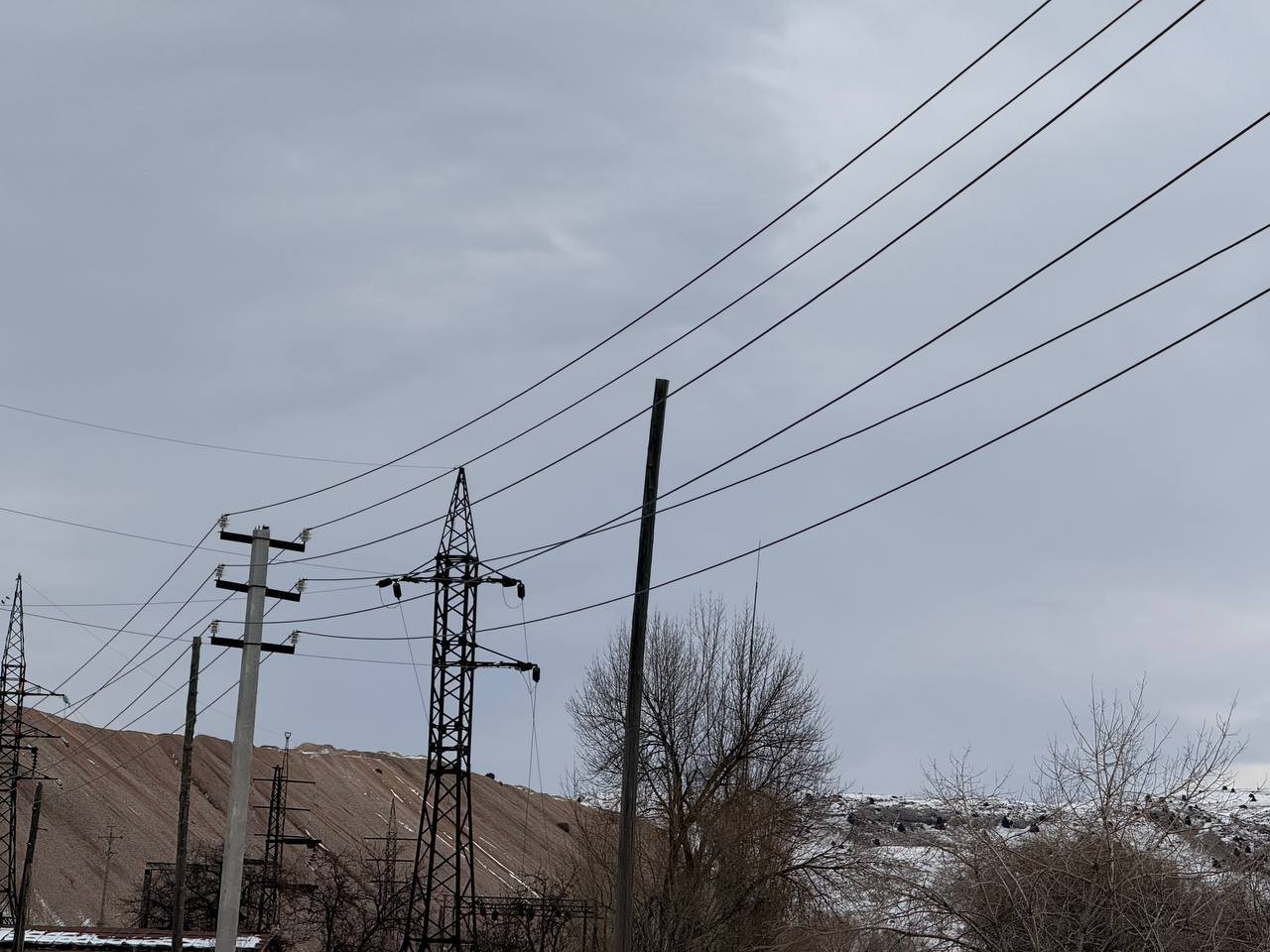 5447506853920181277 (1)