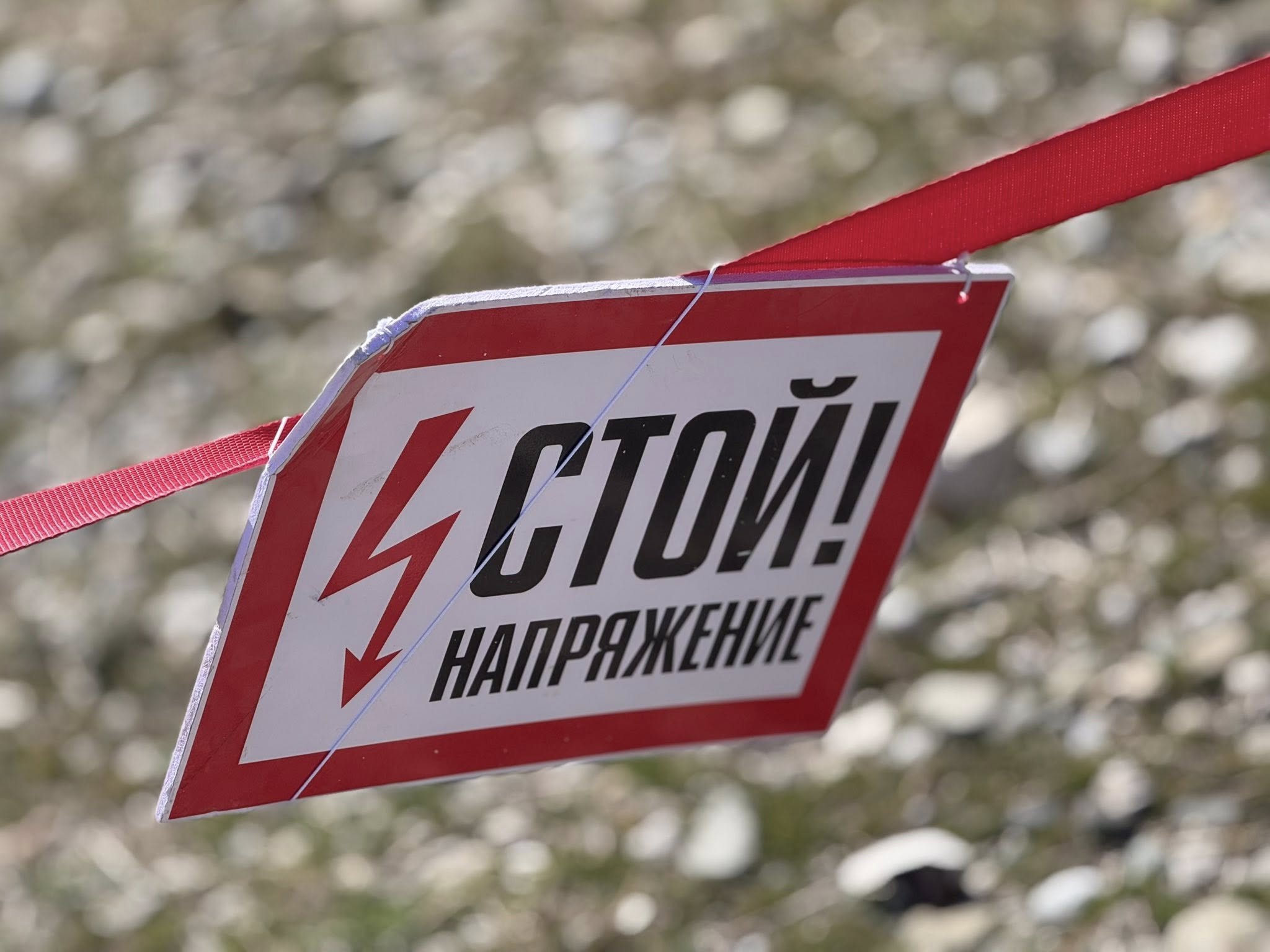 641384041_886766660869945_6170049707874679286_n